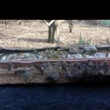 photo 2021-12-01 14-17-16