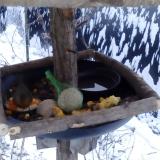 photo 2019-01-22 07-54-51