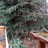 photo 2021-11-13 13-11-03