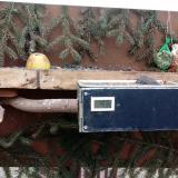 photo 2021-02-07 14-07-58