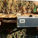 photo 2021-02-15 12-52-43