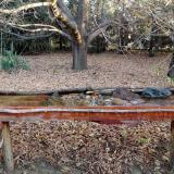 photo 2021-10-26 08-12-16