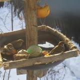 photo 2019-01-27 09-18-37