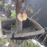 photo 2019-12-03 07-28-13