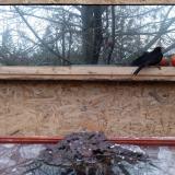 photo 2022-01-20 16-00-02