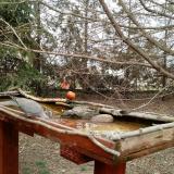 photo 2022-03-17 14-33-42