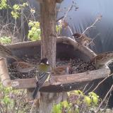 photo 2019-12-16 08-46-40