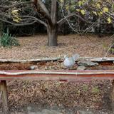 photo 2021-10-22 15-34-25