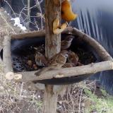 photo 2019-02-02 11-56-05