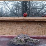 photo 2022-01-16 07-53-39