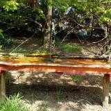 photo 2021-04-26 11-57-08