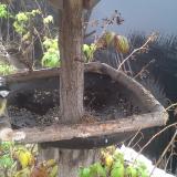 photo 2019-12-02 09-46-37