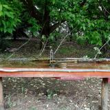 photo 2021-05-15 13-52-16