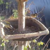 photo 2019-12-16 14-14-21