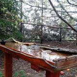 photo 2022-03-31 16-14-09