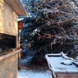 photo 2022-01-09 08-12-06