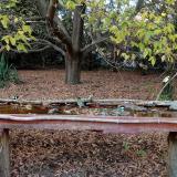 photo 2021-10-19 16-35-41