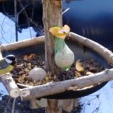 photo 2019-01-15 09-17-55