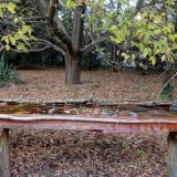 photo 2021-10-19 16-54-50