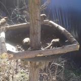 photo 2019-03-05 09-53-00