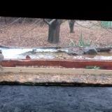 photo 2021-12-05 14-26-31