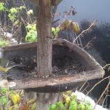 photo 2019-12-02 10-45-00