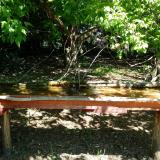 photo 2021-05-10 11-21-20