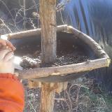 photo 2019-02-27 11-06-04