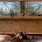 photo 2022-01-15 13-48-46