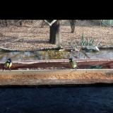 photo 2021-11-29 13-04-54