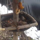 photo 2019-02-01 11-37-27