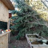 photo 2021-12-17 14-37-11