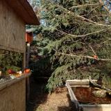 photo 2021-12-31 13-15-28