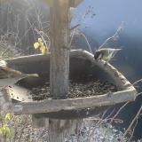 photo 2019-12-29 10-00-45