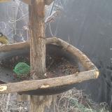 photo 2019-02-18 06-53-05