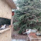 photo 2021-12-28 12-12-25