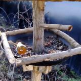 photo 2019-01-02 08-34-52