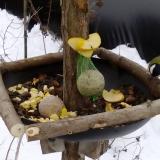 photo 2019-01-12 12-26-01