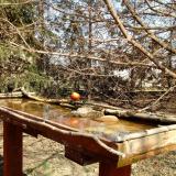 photo 2022-03-19 12-43-43