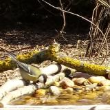 photo 2021-03-11 09-55-53 cinke