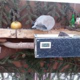 photo 2021-02-14 07-00-46