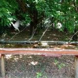 photo 2021-07-04 11-46-04