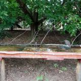 photo 2021-08-03 16-47-33