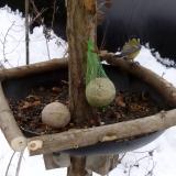 photo 2019-01-12 10-25-50