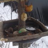 photo 2019-01-27 12-15-02