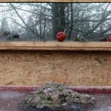 photo 2022-01-16 08-46-46