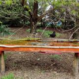 photo 2021-04-14 13-23-09