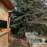 photo 2021-12-23 11-29-07