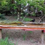 photo 2021-04-29 06-51-06