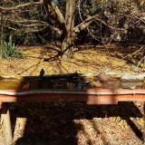 photo 2021-10-24 12-02-52